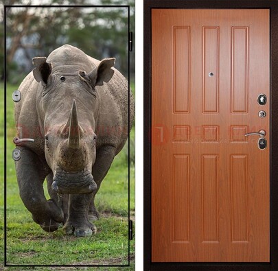 Металлическая дверь с фотопечатью носорога ДФ-31 в Фрязино