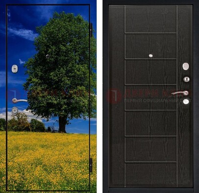 Железная дверь с фотопечатью дерева в поле ДФ-36 в Фрязино